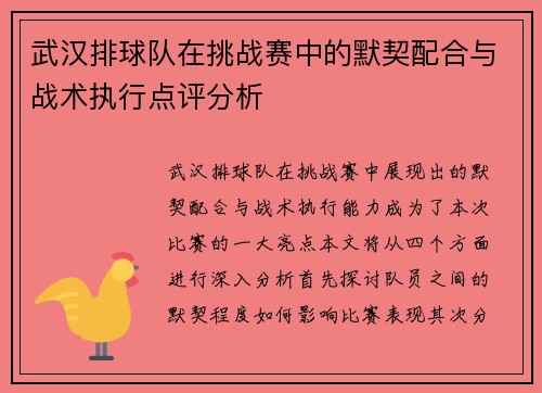 武汉排球队在挑战赛中的默契配合与战术执行点评分析